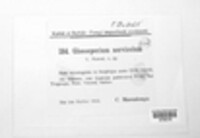 Image Associated With the Occurence